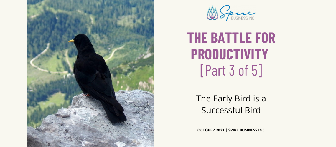 The early bird is a successful bird.