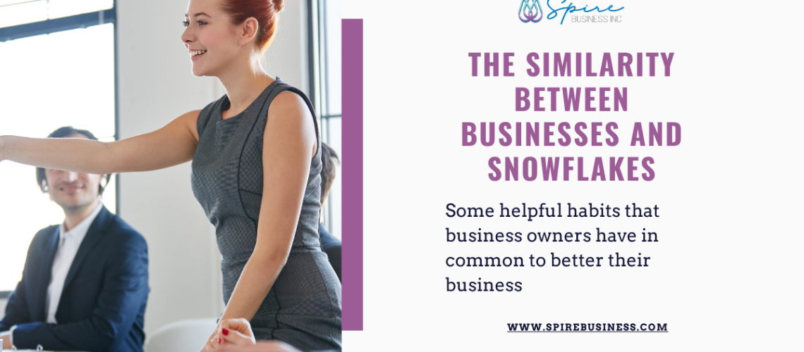 woman showing the similarity between snowflakes and businesses